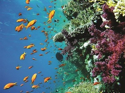 Hurghada Extension