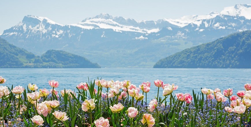 Switzerland Panorama Escorted Vacation