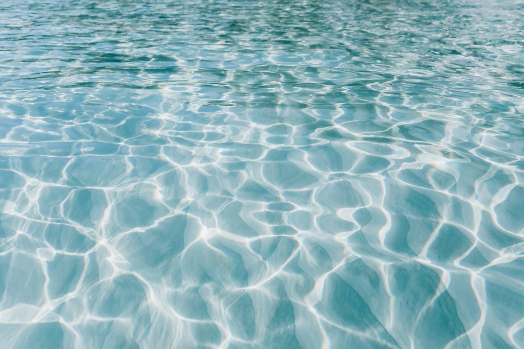 Grand Bahama Discovery