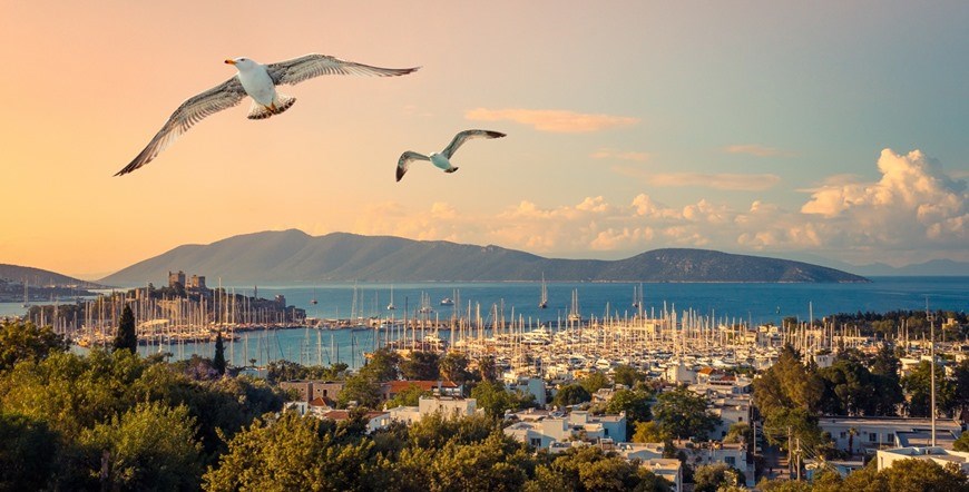 Bodrum Escapade
